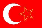 Kosova Türkleri (Sırbistan) Bayrağı (20x30)