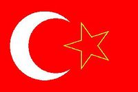 Kosova Türkleri (Sırbistan) Bayrağı (20x30)