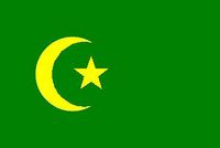 Sancak Türkleri (Sırbistan, Karadağ) Bayrağı (20x30)