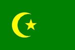 Sancak Türkleri (Sırbistan, Karadağ) Bayrağı (70x105)