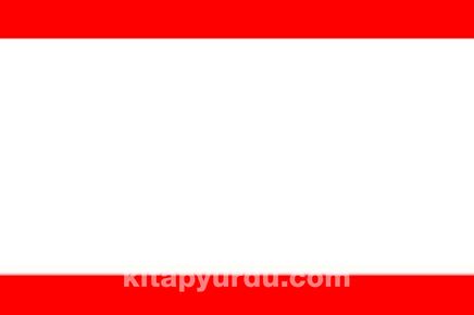 Bulgar Türkleri (Bulgaristan) Bayrağı (20x30)