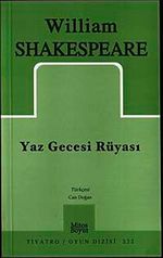 Yaz Gecesi Rüyası