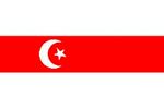 Belarus Tatarları (Rusya, Belarus Cumhuriyeti) Bayrağı (20x30)