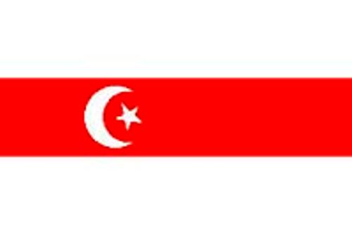 Belarus Tatarları (Rusya, Belarus Cumhuriyeti) Bayrağı (20x30)