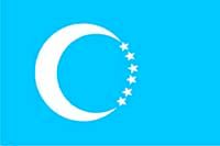 Erbil Türkmenleri (Irak) Bayrağı (20x30)