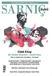 Sarnıç - Öykü Sayı:6 Şubat 2013