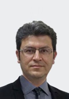  Talip Demir