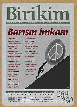 Birikim / Sayı:289-290 Yıl: 2013 / Aylık Sosyalist Kültür Dergisi (Mayıs-Haziran)