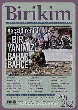 Birikim / Sayı:291-292 Yıl: 2013 / Aylık Sosyalist Kültür Dergisi (Temmuz-Ağustos)