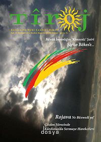 Tiroj / İki Aylık Kültür Sanat Edebiyat Dergisi Sayı: 64 Eylül-Ekim 2013