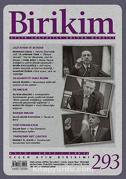 Birikim / Sayı:293 Yıl: 2013 / Aylık Sosyalist Kültür Dergisi