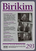 Birikim / Sayı:293 Yıl: 2013 / Aylık Sosyalist Kültür Dergisi