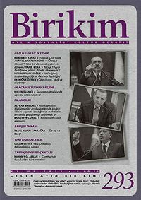 Birikim / Sayı:293 Yıl: 2013 / Aylık Sosyalist Kültür Dergisi