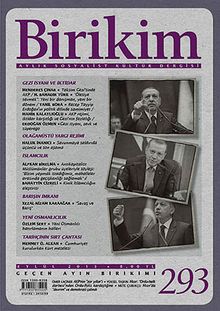 Birikim / Sayı:293 Yıl: 2013 / Aylık Sosyalist Kültür Dergisi
