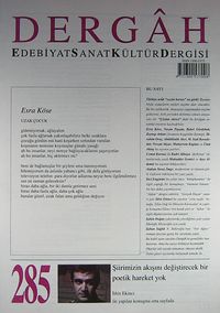 Dergah Edebiyat Sanat Kültür Dergisi Sayı:285 Kasım 2013