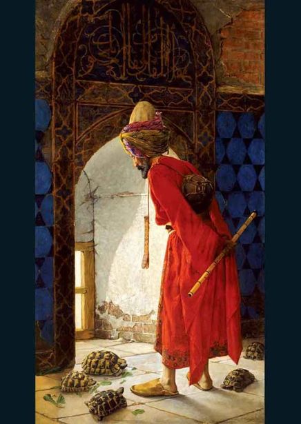 Kaplumbağa Terbiyecisi Puzzle 1000 Parça (Kod:11087)