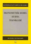 Ekonometrik Model Kurma Teknikleri