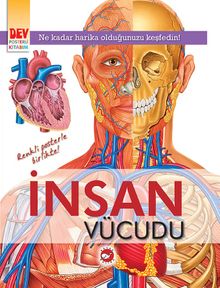 İnsan Vücudu (Dev Poster Ekli)