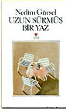 Uzun Sürmüş Bir Yaz