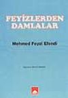 Feyizlerden Damlalar/ Mehmed Feyzi Efendi