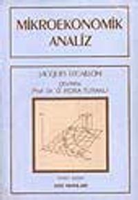 Mikroekonomik Analiz