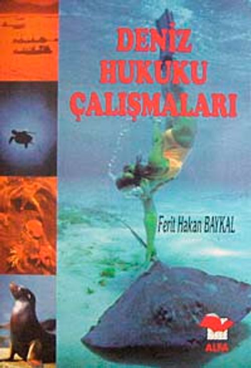 Deniz Hukuku Çalışmaları