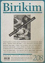 Birikim / Sayı: 208 Yıl: 2006 / Aylık Sosyalist Kültür Dergisi