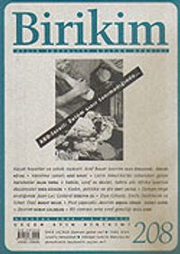 Birikim / Sayı: 208 Yıl: 2006 / Aylık Sosyalist Kültür Dergisi