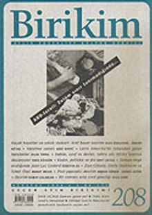 Birikim / Sayı: 208 Yıl: 2006 / Aylık Sosyalist Kültür Dergisi