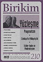 Birikim / Sayı: 210 Yıl: 2006 / Aylık Sosyalist Kültür Dergisi