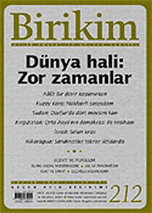 Birikim / Sayı: 212 Yıl: 2006 / Aylık Sosyalist Kültür Dergisi