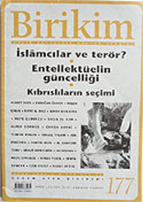 Birikim / Sayı: 177 Ocak 2004
