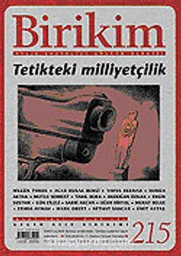 Birikim / Sayı: 215 Yıl: 2007 / Aylık Sosyalist Kültür Dergisi