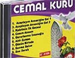 Azaptayım Anneciğim Gel-2 (VCD)