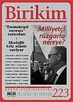 Birikim / Sayı: 223 Yıl: 2007 / Aylık Sosyalist Kültür Dergisi