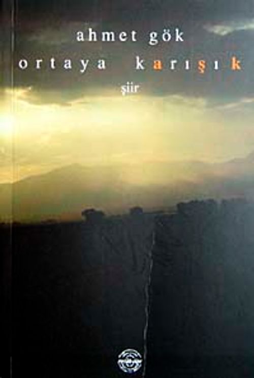 Ortaya Karışık
