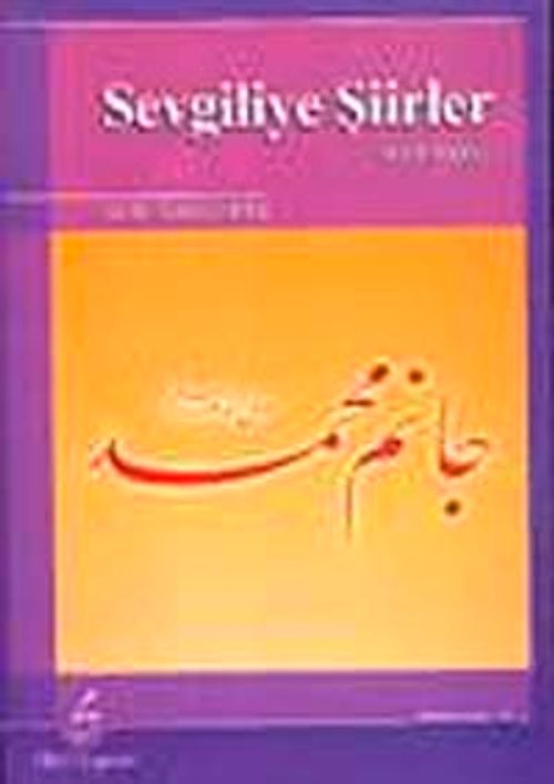 Sevgiliye Şiirler