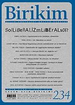 Birikim / Sayı:234 Yıl: 2008 / Aylık Sosyalist Kültür Dergisi