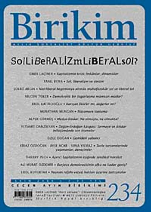 Birikim / Sayı:234 Yıl: 2008 / Aylık Sosyalist Kültür Dergisi