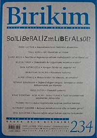 Birikim / Sayı:234 Yıl: 2008 / Aylık Sosyalist Kültür Dergisi
