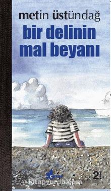 Bir Delinin Mal Beyanı - Metin Üstündağ