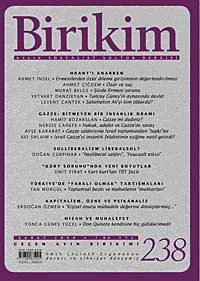 Birikim / Sayı:238  Yıl: 2009 / Aylık Sosyalist Kültür Dergisi