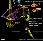 Timucin Şahin Trio