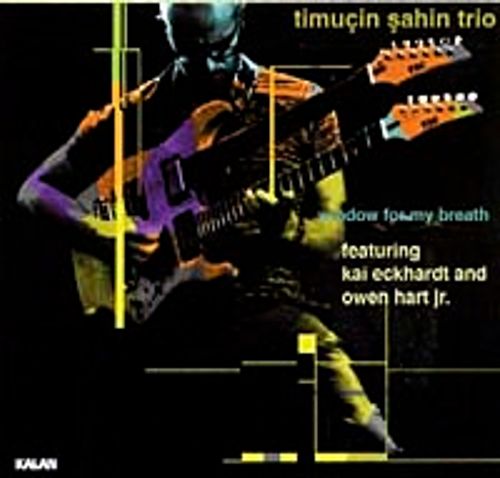 Timucin Şahin Trio