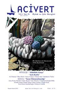 Lacivert Öykü ve Şiir Dergisi Yıl:5 Sayı:36 Kasım-Aralık 2010