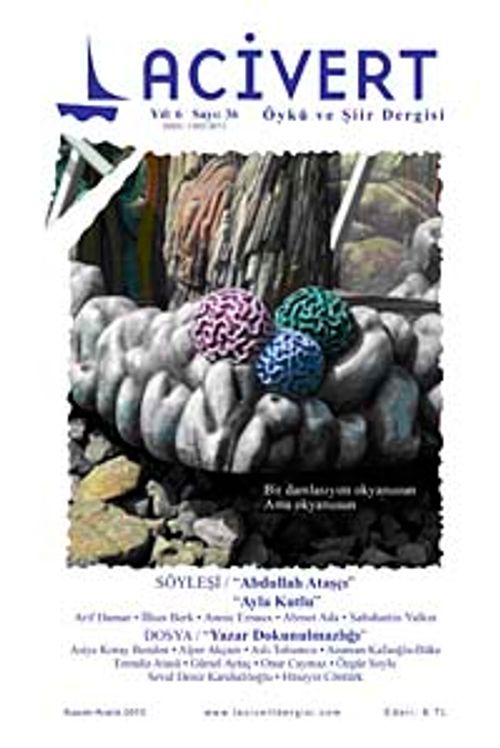 Lacivert Öykü ve Şiir Dergisi Yıl:5 Sayı:36 Kasım-Aralık 2010