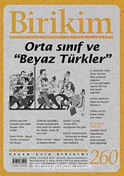 Birikim / Sayı:260  Yıl: 2010 / Aylık Sosyalist Kültür Dergisi