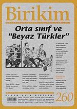Birikim / Sayı:260  Yıl: 2010 / Aylık Sosyalist Kültür Dergisi