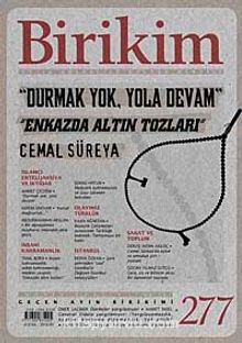 Birikim / Sayı:277 Yıl: 2012 / Aylık Sosyalist Kültür Dergisi