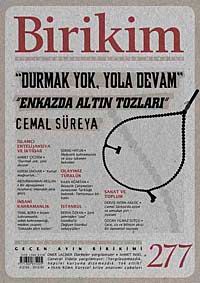 Birikim / Sayı:277 Yıl: 2012 / Aylık Sosyalist Kültür Dergisi